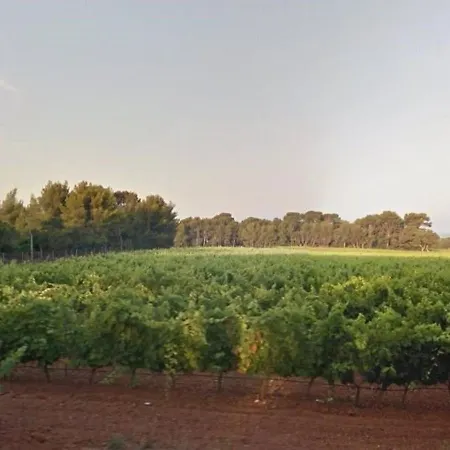 Au Lavandou, Proche Plage, Terrasse, Parking Privatif, 4 Couchages - Fr-1-251-236 * Le Lavandou